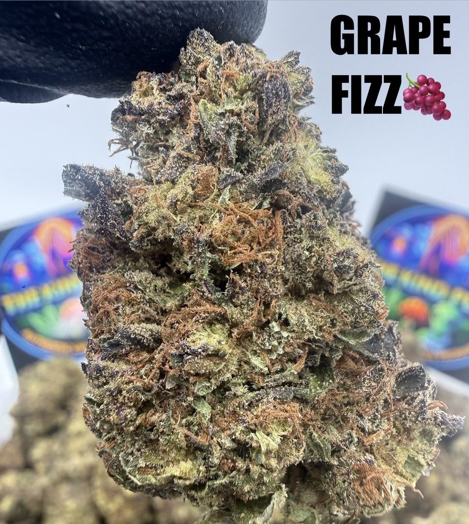 GRAPE FIZZ Slide 3